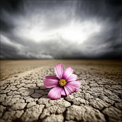 Illustration defeats - Image 1