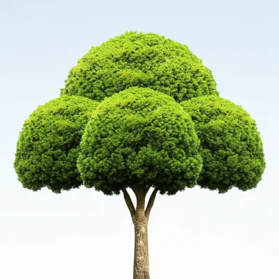 Illustration threefold - Image 2