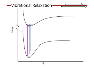 Illustration relaxation - Image 4