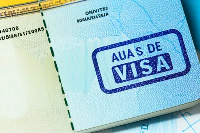 Illustration pass - Image 1