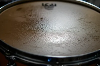 Illustration tympans - Image 1