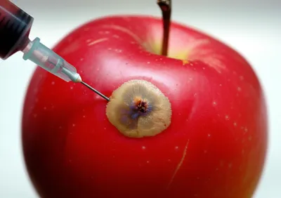 Illustration envenom - Image 1