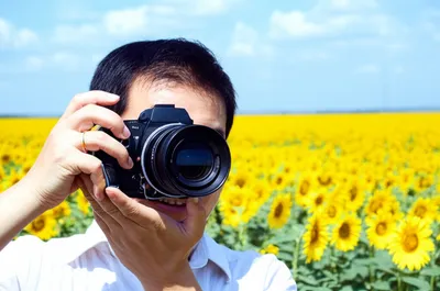 Illustration photographing - Image 1