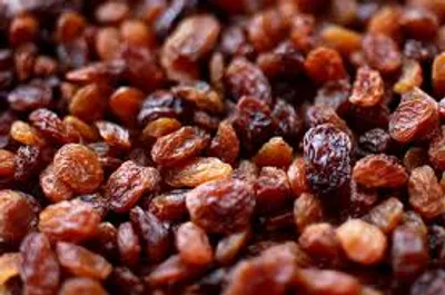 Illustration raisin - Image 2