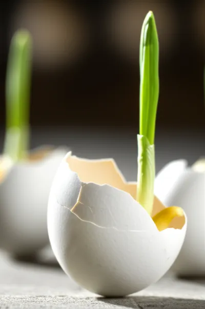 Illustration eggcorn - Image 1