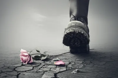 Illustration diss - Image 1