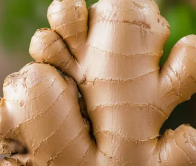 Illustration knob - Image 1