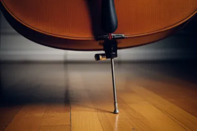 Illustration spike - Image 1