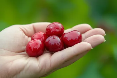 Illustration handful - Image 1