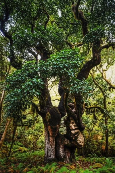 Illustration til - Image 1