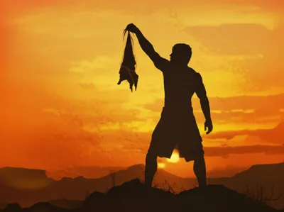 Illustration scalp - Image 1