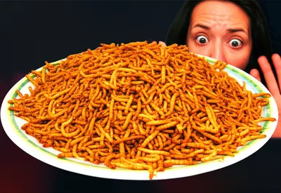 Illustration sickens - Image 1