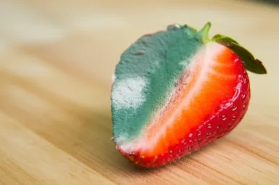 Illustration moulded - Image 1