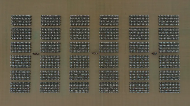 Ilustración visual de la palabra "regiments" - Regimiento