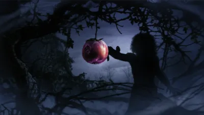 Illustration committed - Image 1