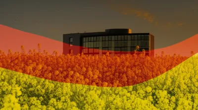 Illustration yellower - Image 1