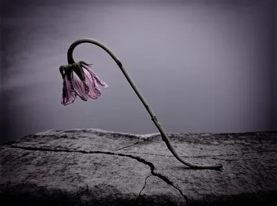 Illustration abided - Image 1