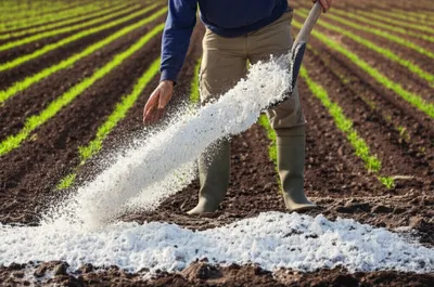 Illustration marling - Image 1