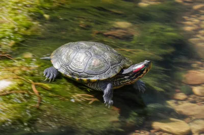 Illustration slider - Image 1