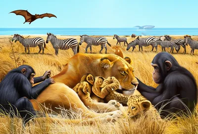 Illustration mammalian - Image 2