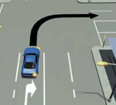 Illustration bear - Image 2