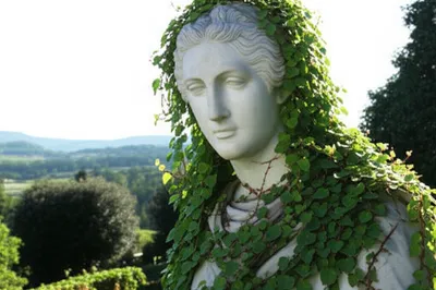 Illustration timeless - Image 1