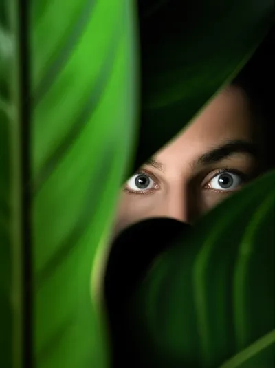 Illustration lurk - Image 1