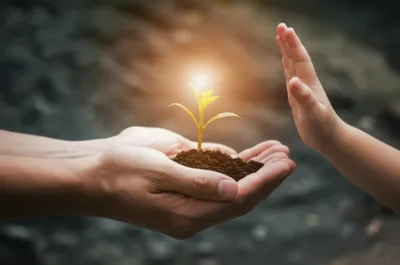 Illustration fiduciary - Image 1