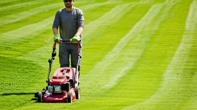 Illustration mower - Image 1