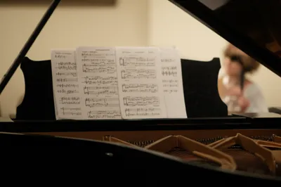 Illustration musicianship