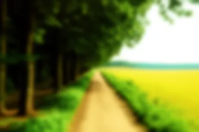 Illustration intermediate