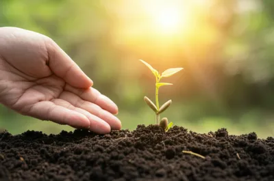 Illustration acknowledgement - Image 2