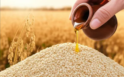 Illustration ben - Image 1