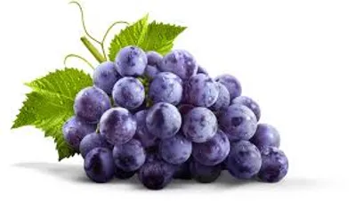Illustration grape - Image 2