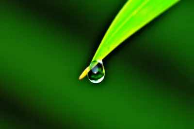 Illustration wee - Image 1