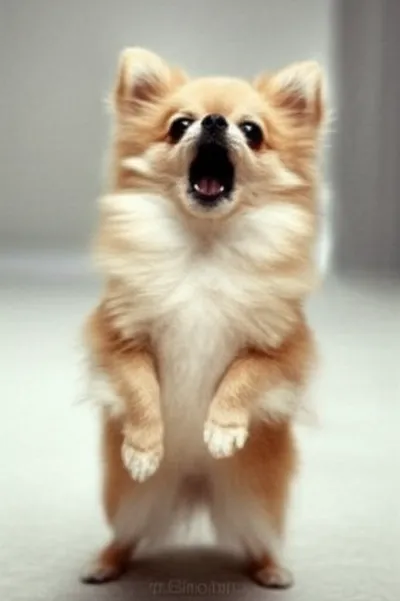 Illustration yaps - Image 1