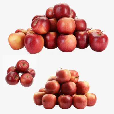 Illustration differing - Image 1