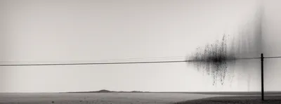 Illustration tailings - Image 1