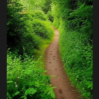 Illustration digressions - Image 1