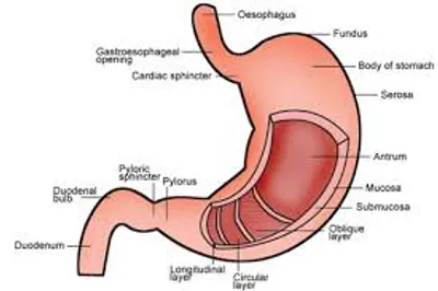 Illustration wall - Image 3