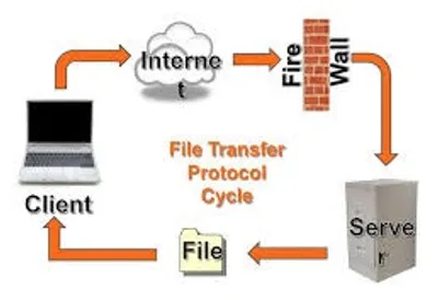 Illustration protocol - Image 3