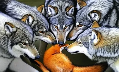 Illustration pack - Image 1