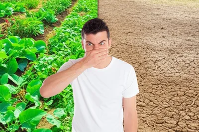 Illustration repellent - Image 1