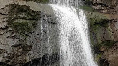 Illustration scoured - Image 1