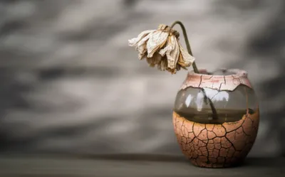 Illustration fader - Image 1