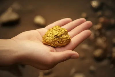 Illustration nuggets - Image 1