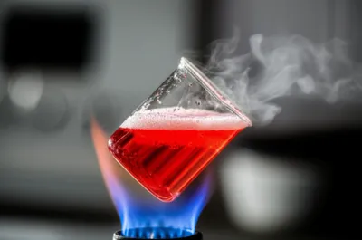 Illustration seethed - Image 1