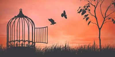 Illustration free - Image 2