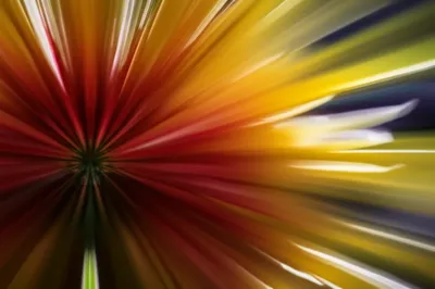 Illustration quickening - Image 1