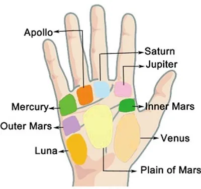 Illustration mount - Image 2